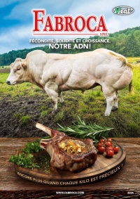 Catalog Fabroca 2026